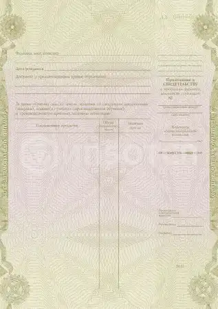 Сопровождающий инвалидов, лиц с ограниченными возможностями здоровья (сопровождающий спортсмена-инвалида первой группы инвалидности) картинки, фото